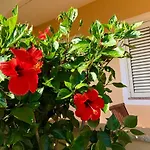 Casa Dolce Hibiscus Апартаменты