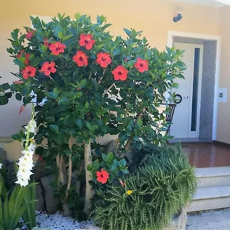 Casa Dolce Hibiscus Ольбия
