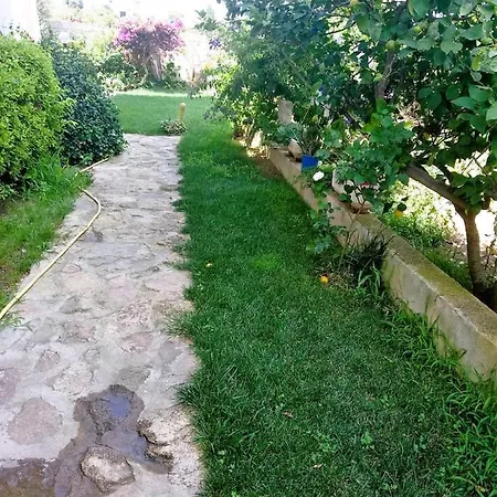 Casa Dolce Hibiscus Olbia