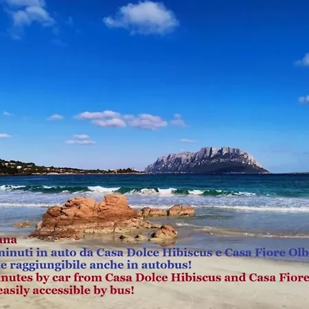 Casa Dolce Hibiscus Lägenhet Olbia