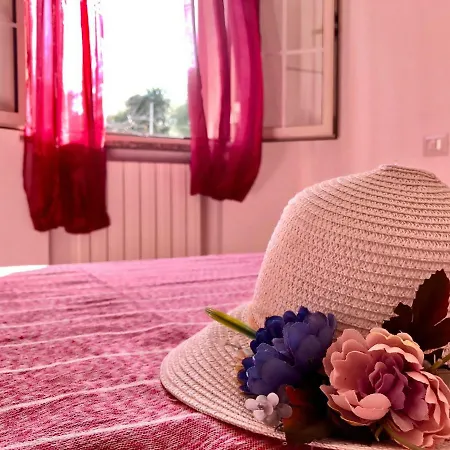 Casa Dolce Hibiscus *