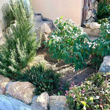 Casa Dolce Hibiscus Olbia